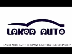Laker: Ihr kundenspezifischer Batterielieferant