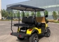 Mini-Elektrofahrzeug 2 Sitzplätze Geliftet Buggy Golfkarren Blei-Säure Lithium-Batterie angetrieben